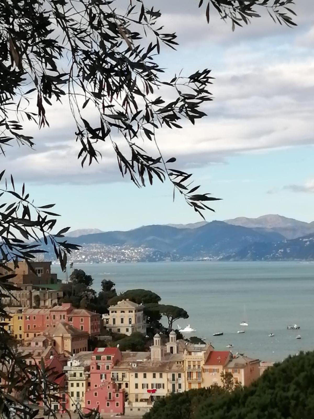 Silent Bay Apartments Sestri Levante Exteriör bild